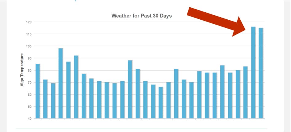 Navigating the Stormy Weather of Google SERPs