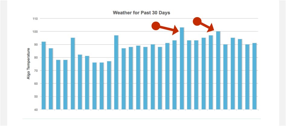 Navigating the Stormy Weather of Google SERPs
