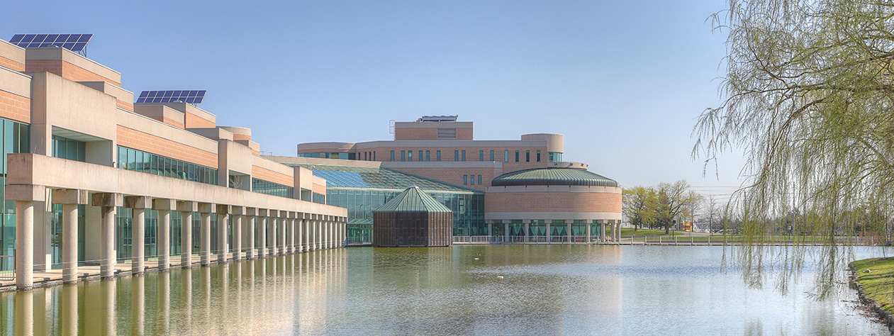 SEO in Markham